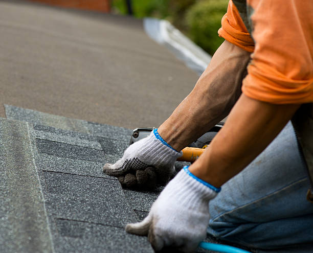 Best Roof Gutter Cleaning  in Swartz, LA